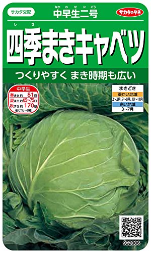 922006 サカタのタネ 実咲野菜2006 四季まきキャベツ 中早生二号 00922006