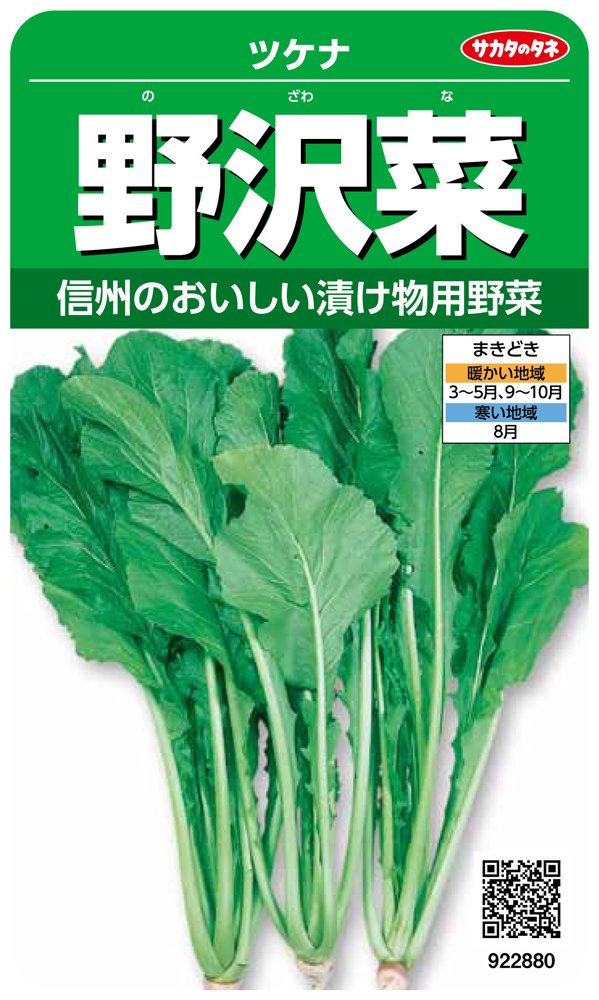 922880 サカタのタネ 実咲野菜2880 野沢菜 ツケナ 00922880