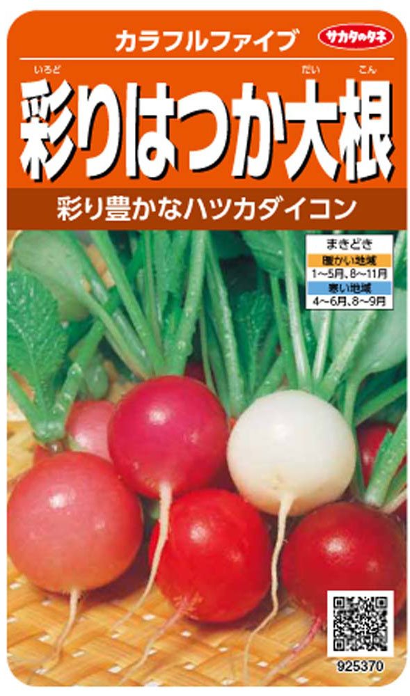 925370 サカタのタネ 実咲野菜5370 カラフルファイブ 彩りはつか大根 00925370