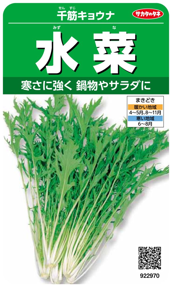 922970 サカタのタネ 実咲野菜2970 水菜 千筋キョウナ 00922970