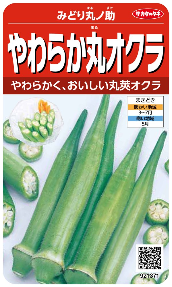 921371 サカタのタネ 実咲野菜1371 やわらか丸オクラ みどり丸ノ助 00921371