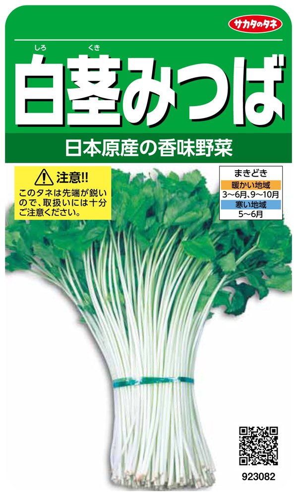 923082 サカタのタネ 実咲野菜3082 白茎みつば 00923082