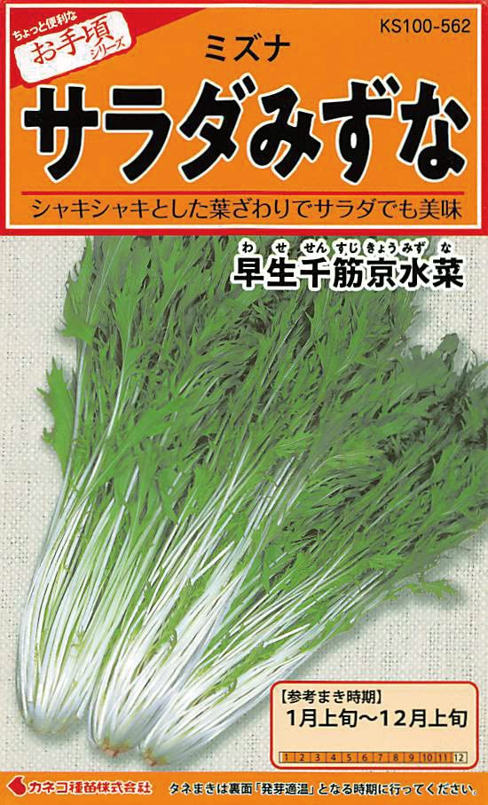 KS100 カネコ種苗 園芸・種 KS100シリーズ サラダみずな 早生千筋京水菜 野菜100 562