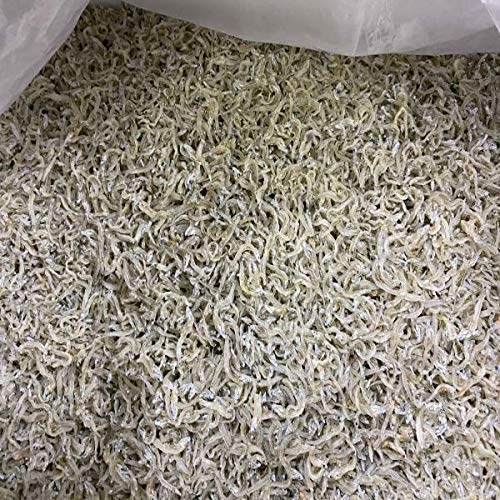 【兵庫県瀬戸内海産】上乾ちりめん　家庭用　大きさおまかせ　約1kg