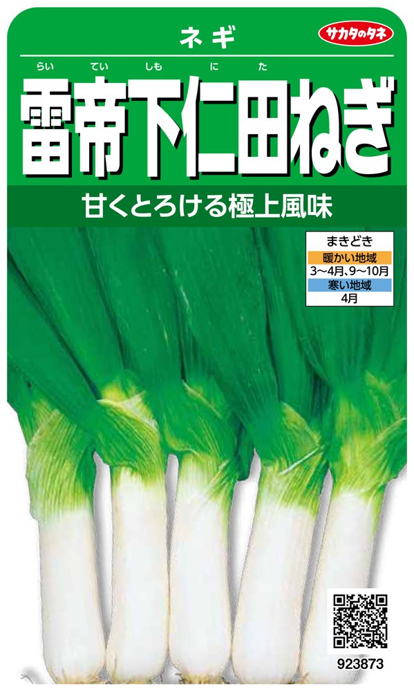 923873 サカタのタネ 実咲野菜3873 雷帝下仁田ねぎ ネギ 00923873