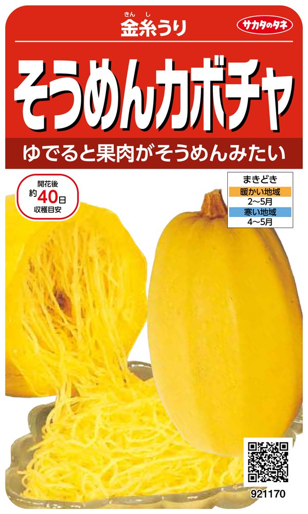 921170 サカタのタネ 実咲野菜1170 そうめんカボチャ 金糸うり 00921170