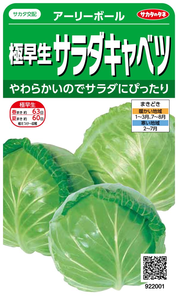 922001 サカタのタネ 実咲野菜2001 極早生サラダキャベツ アーリーボール 00922001