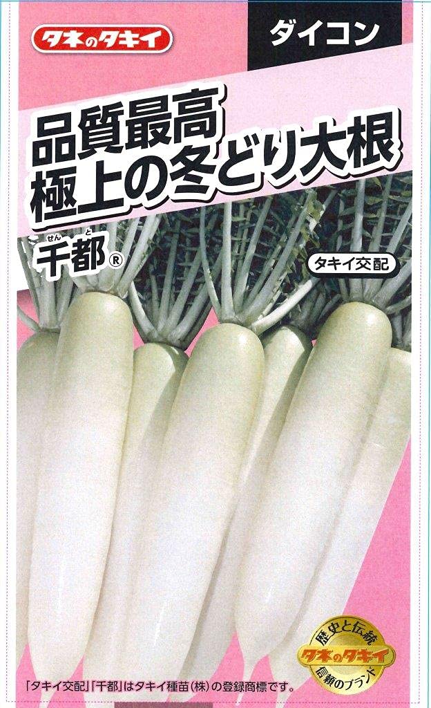 7555 タキイ種苗 品質最高 極上の冬どり大根 千都