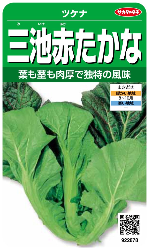 922878 サカタのタネ 実咲野菜2878 三池赤たかな ツケナ 00922878