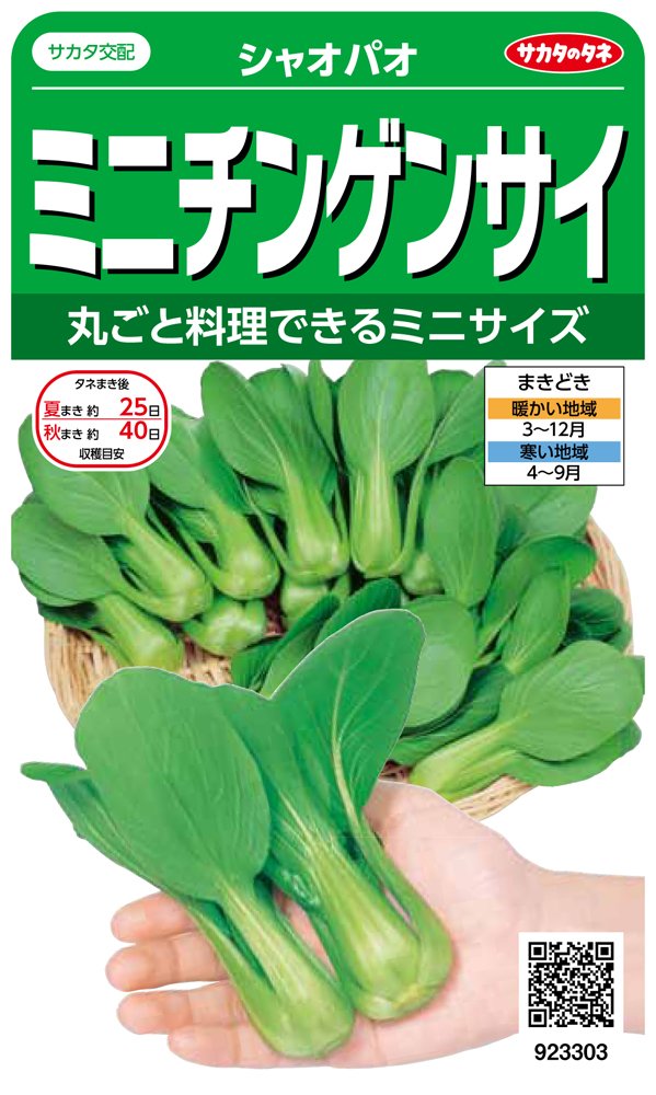 923303 サカタのタネ 実咲野菜3303 ミニチンゲンサイ シャオパオ 00923303