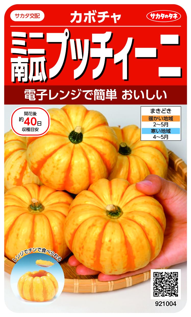 921004 サカタのタネ 実咲野菜1004 ミニカボチャ プッチィーニ 00921004