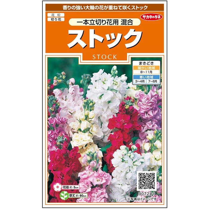 907241 サカタのタネ 実咲花7241 ストック 一本立切花用混合