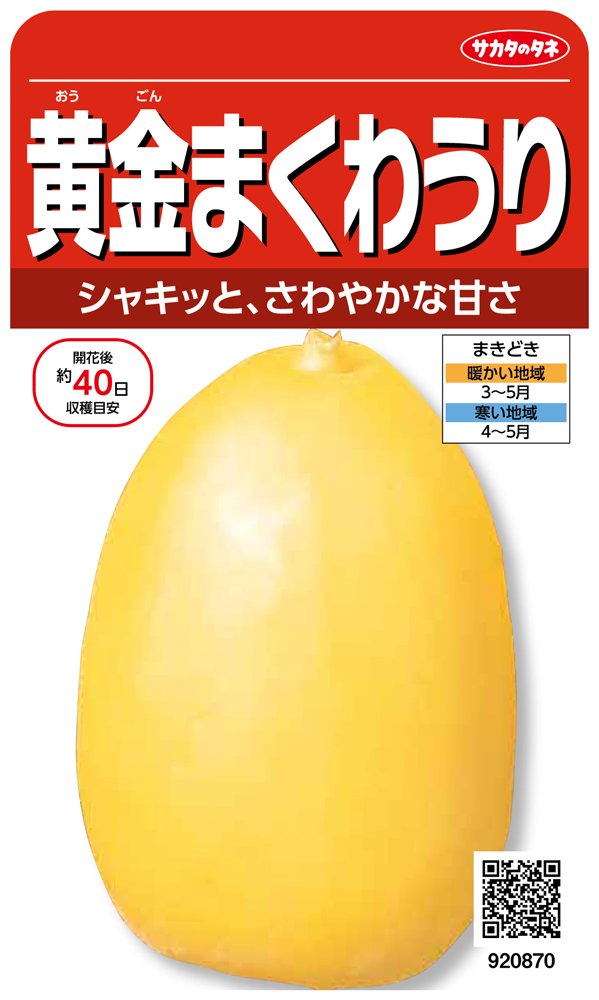 920870 サカタのタネ 実咲野菜0870 黄金まくわうり 00920870