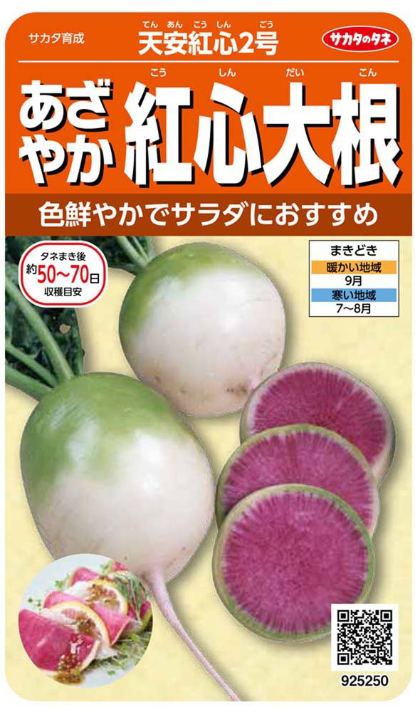 925250 サカタのタネ 実咲野菜5250 天安紅心2号 あざやか紅心大根 00925250