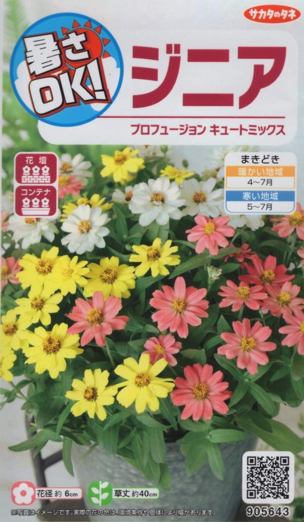 905643 【種子】ジニア プロフュージョン キュートミックス サカタのタネ 農林水産省品種登録 登録品種名 SAKZIN016 海外持出禁止