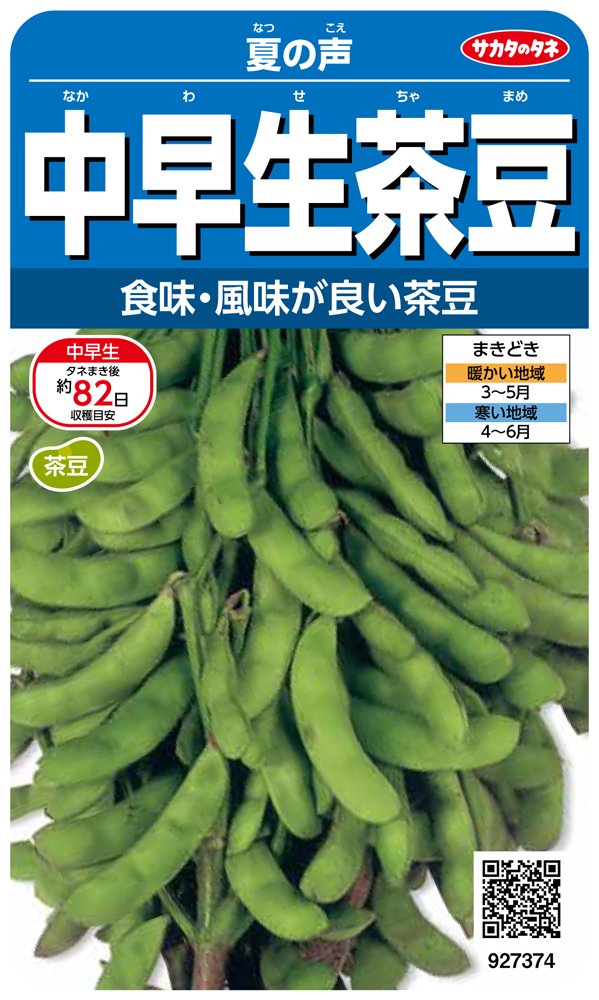 927374 サカタのタネ 実咲野菜7374 中早生茶豆 夏の声 00927374