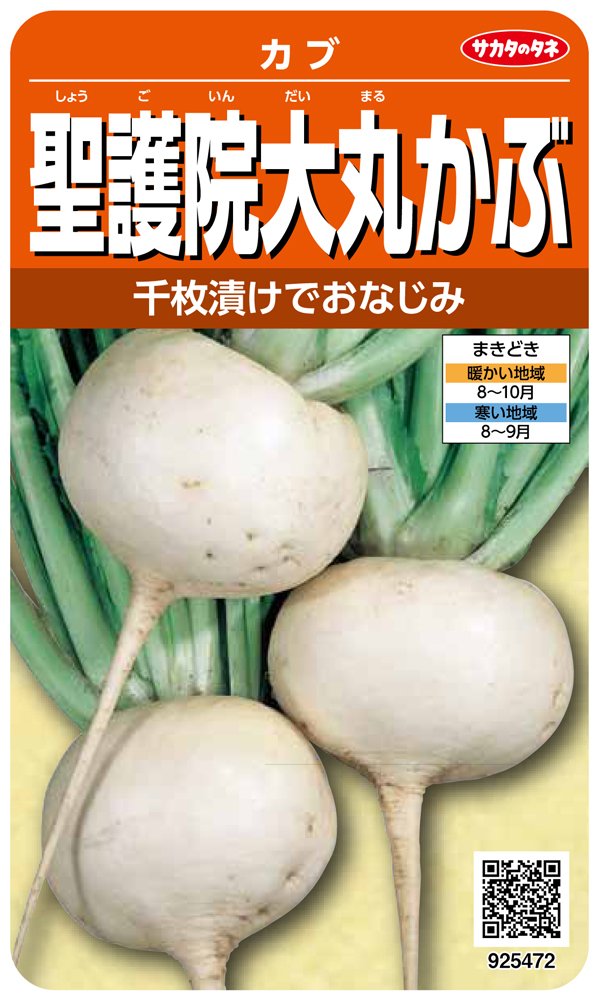 925472 サカタのタネ 実咲野菜5472 聖護院大丸かぶ カブ 00925472