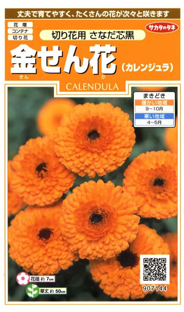 907144 サカタのタネ 実咲花7144 金せん花 切り花用さなだ芯黒 00907144