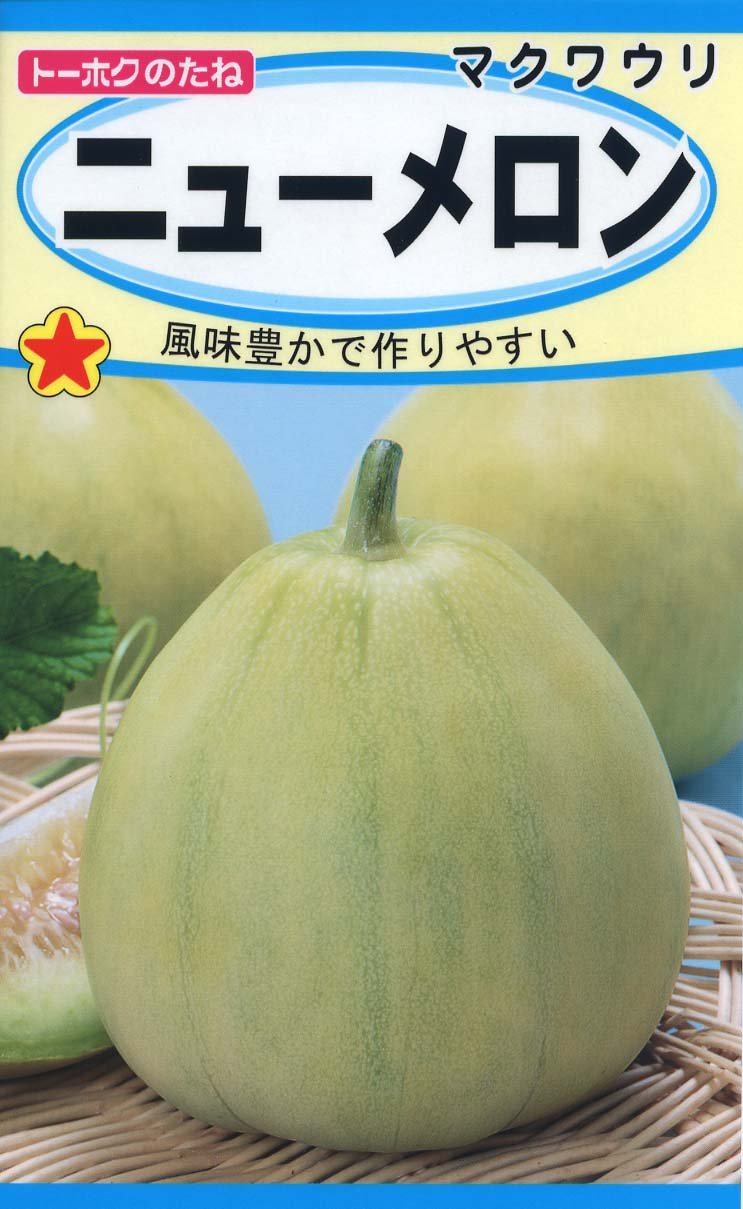 2767 株式会社トーホク ニューメロン 02767 薄緑