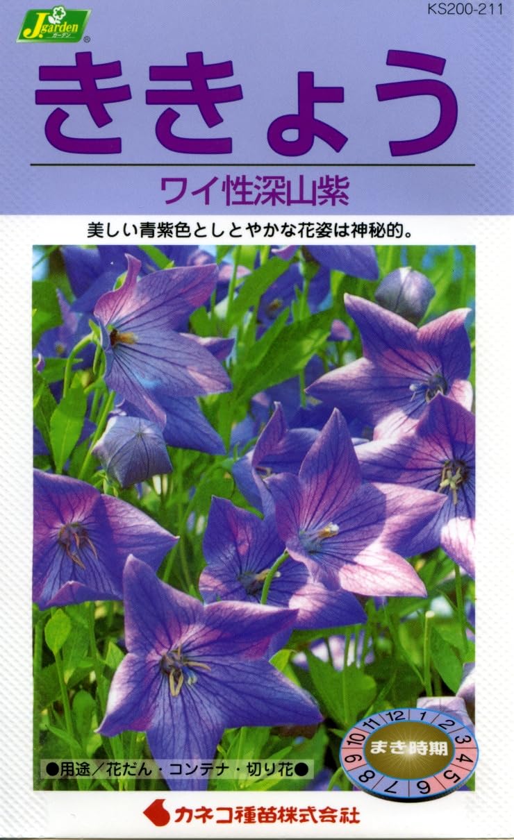 KS200 カネコ種苗 園芸・種 KS200シリーズ ききょう ワイ性深山紫 草花200 211