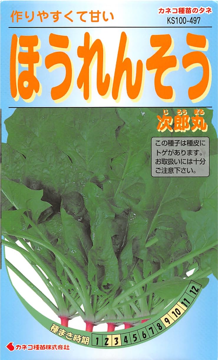 KS100 カネコ種苗 園芸・種 KS100シリーズ ほうれんそう 次郎丸 野菜100 497