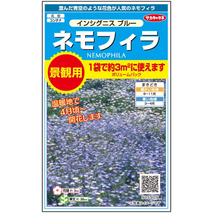 905909 サカタのタネ 実咲花5909 景観用大袋 ネモフィラ インシグニスブルー