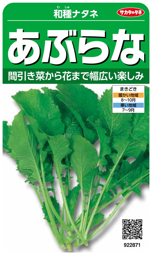 922871 サカタのタネ 実咲野菜2871 あぶらな 和種ナタネ 00922871