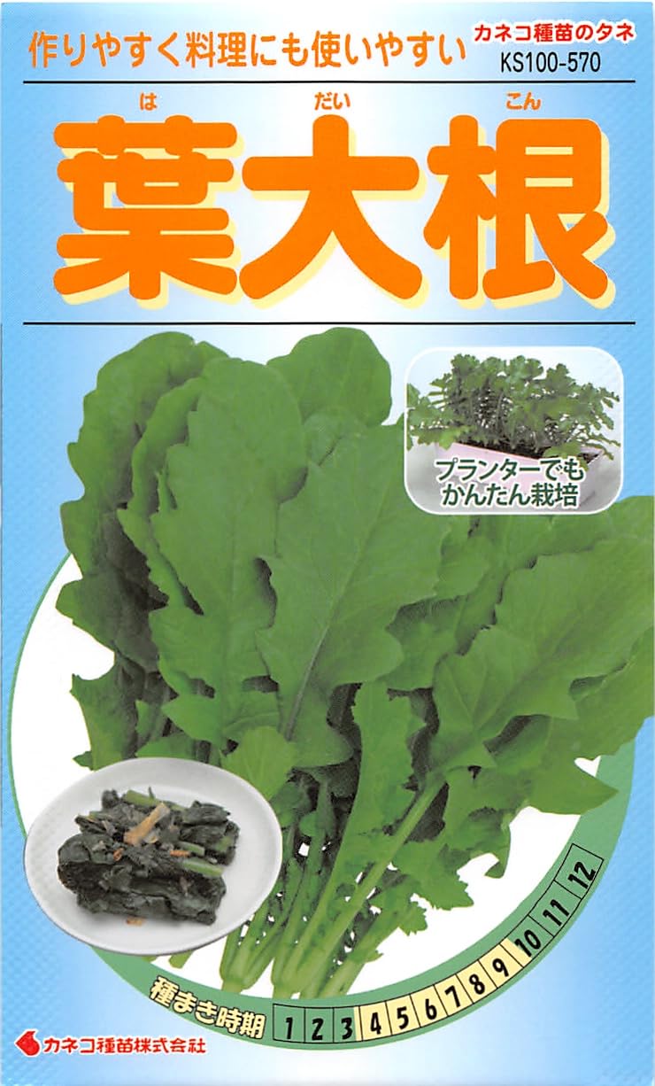 KS100 カネコ種苗 高級野菜種 KS100 葉大根