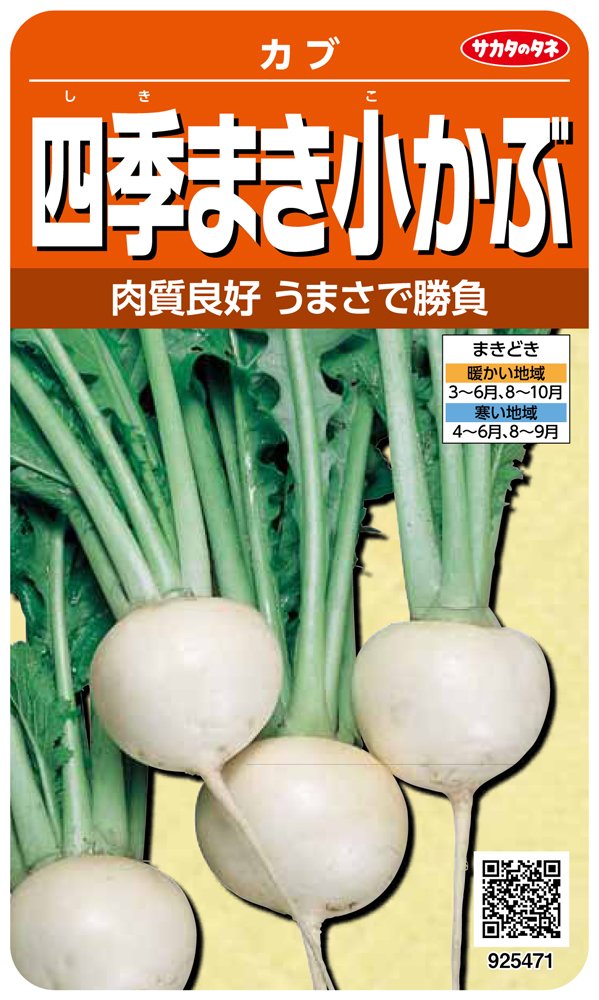 925471 サカタのタネ 実咲野菜5471 四季まき小かぶ カブ 00925471