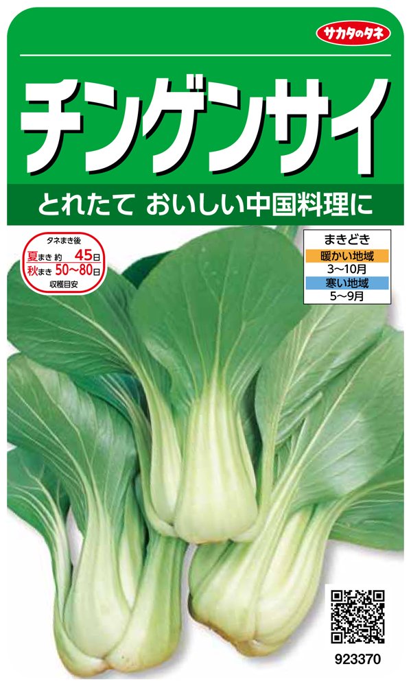 923370 サカタのタネ 実咲野菜3370 チンゲンサイ 00923370