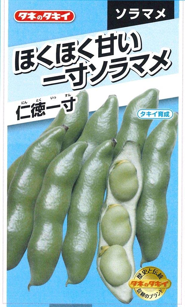 9856 タキイ種苗 ほくほく甘い 一寸ソラマメ 仁徳一寸