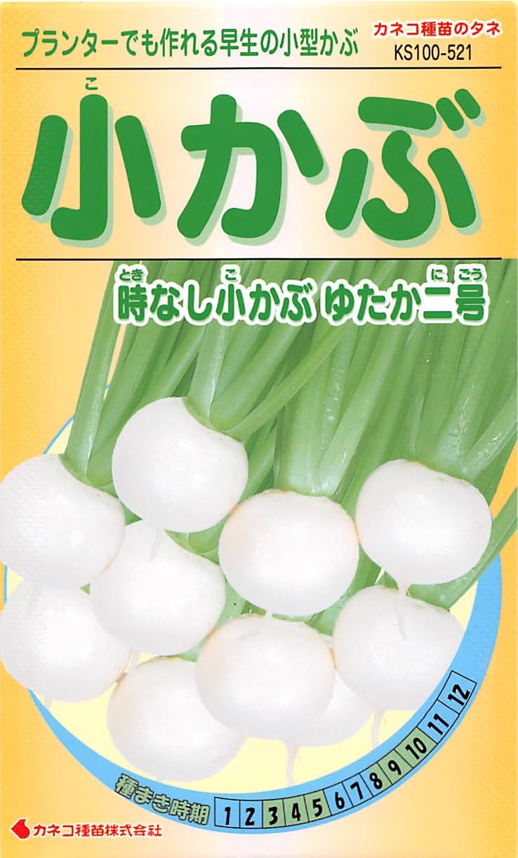 KS100 カネコ種苗 園芸・種 KS100シリーズ 小かぶ 時なし小かぶゆたか二号 野菜100 521