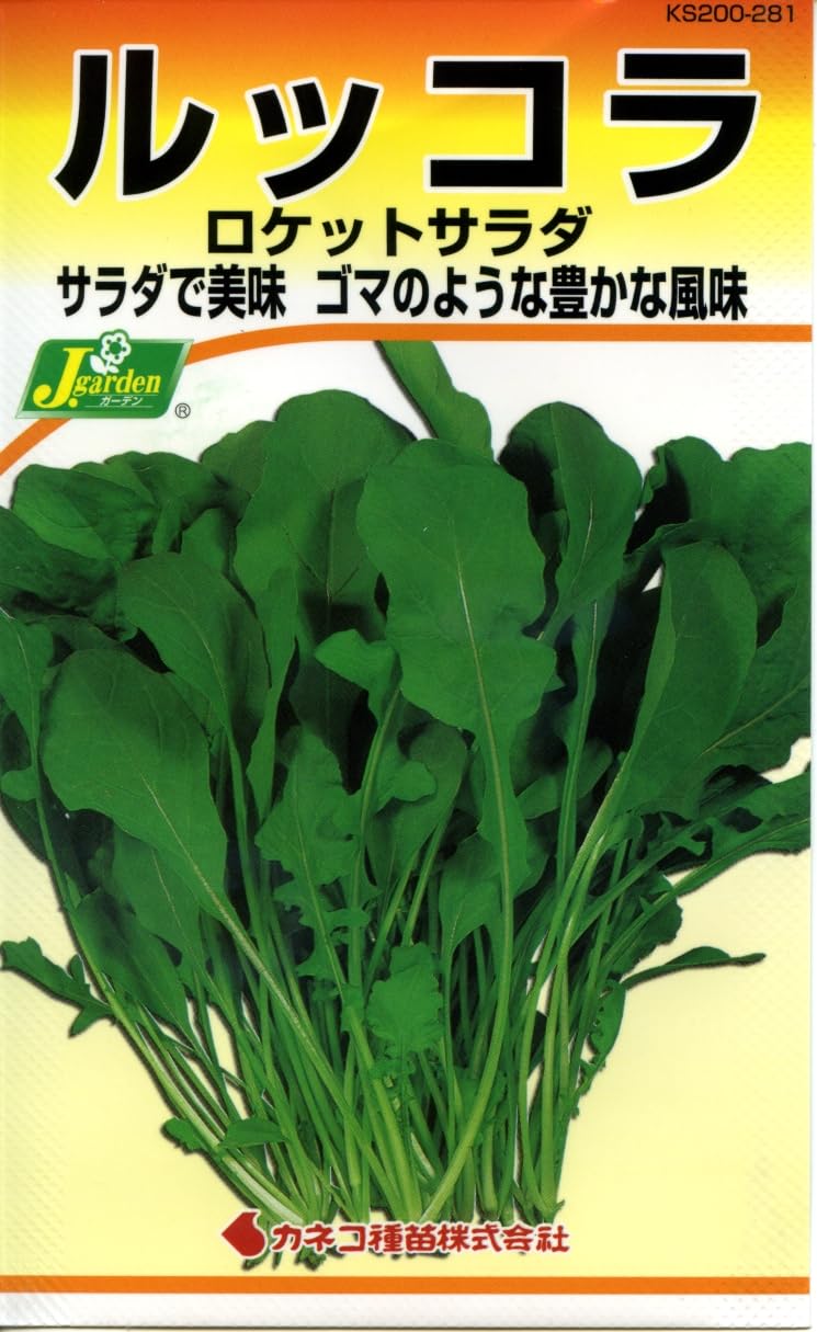 KS200 カネコ種苗 園芸・種 KS200シリーズ ルッコラ ロケットサラダ 野菜200 281