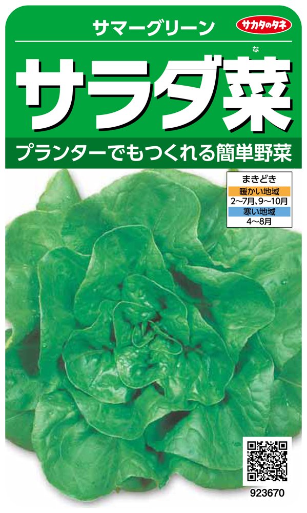 923670 サカタのタネ 実咲野菜3670 サラダ菜 サマーグリーン 00923670