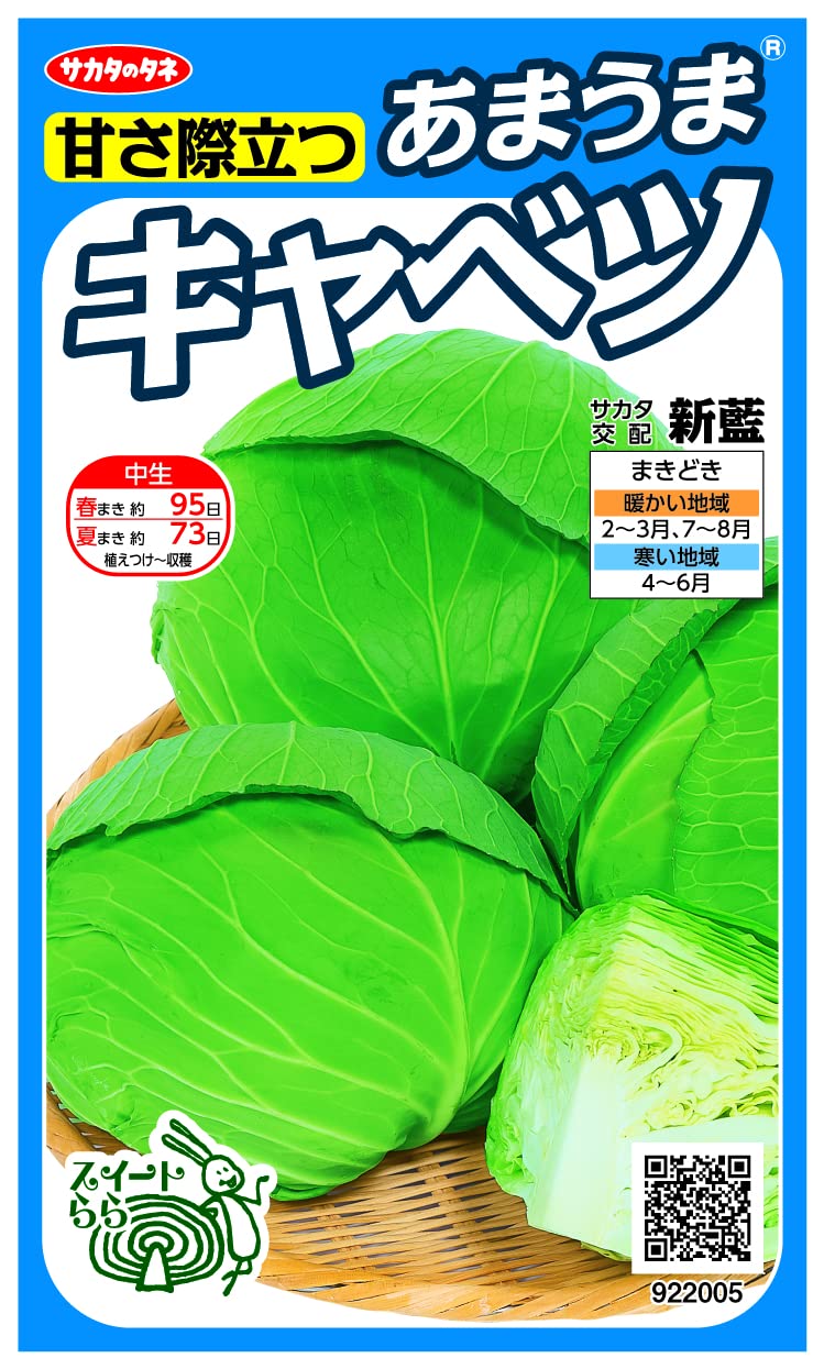 922005 実咲野菜 キャベツ 甘さ際立つあまうまキャベツ 新藍 小袋002914