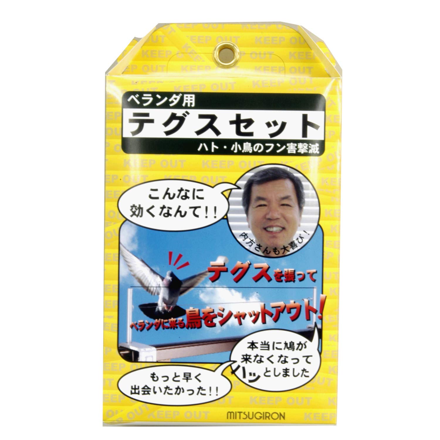 EG-31 ミツギロン 鳥獣害 とり はと ベランダ テグスセット ブラック 24.5×5×21cm 鳥侵入阻止 線 スチール