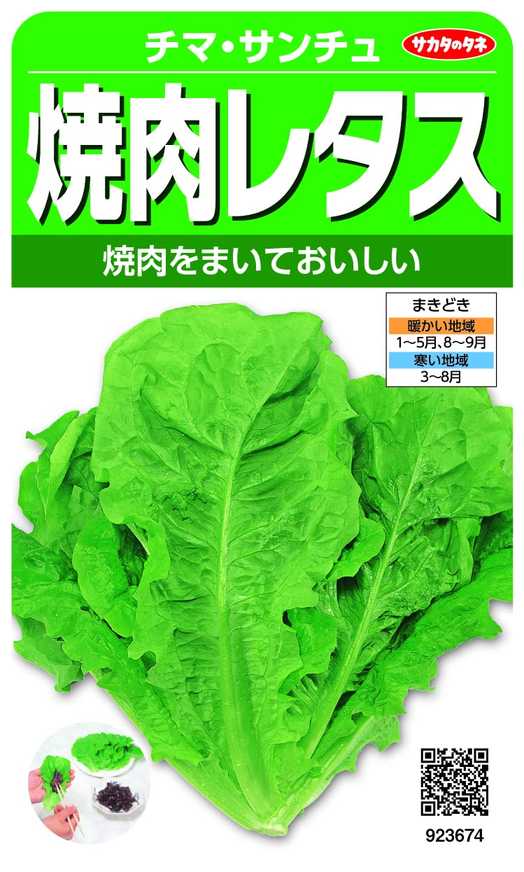 923674 実咲野菜 レタス 焼肉レタス チマサンチュ 小袋003034