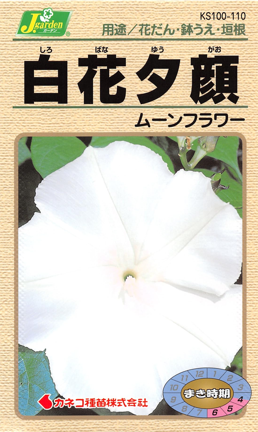 KS100 カネコ種苗 園芸・種 KS100シリーズ 白花夕顔 ムーンフラワー 草花100 110