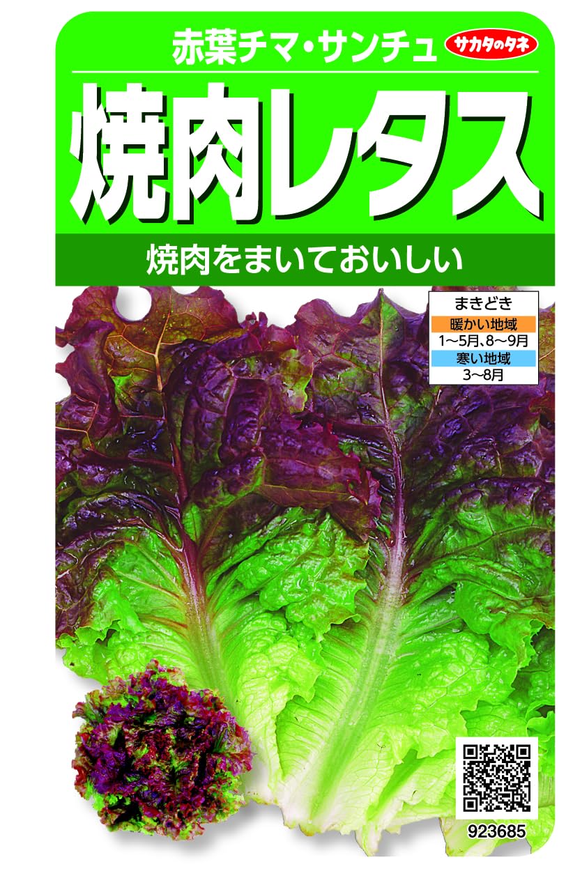 923685 実咲野菜 レタス 焼肉レタス 赤葉チマ・サンチュ 小袋003038