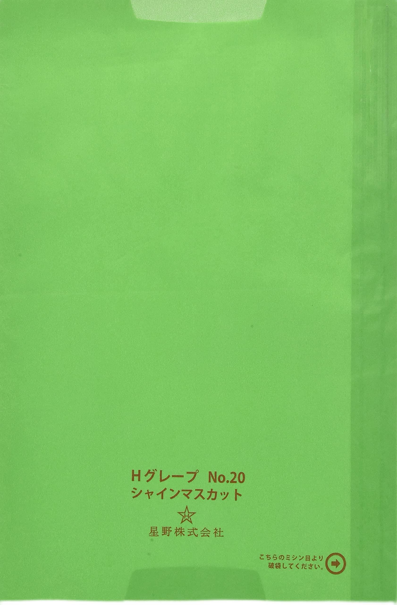 100P 星野株式会社 果実袋 シャインマスカット用20号