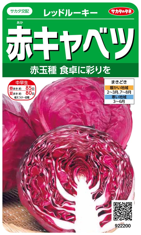 922200 サカタのタネ 実咲野菜2200 赤キャベツ レッドルーキー 00922200