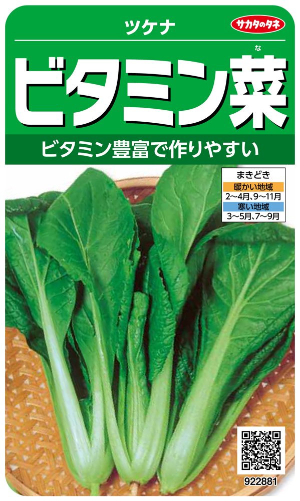 922881 サカタのタネ 実咲野菜2881 ビタミン菜 ツケナ 00922881