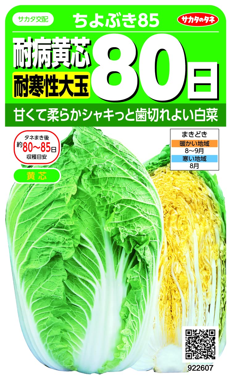 922607 サカタのタネ ハクサイ 耐病黄芯耐寒性大玉80日 ちよぶき85