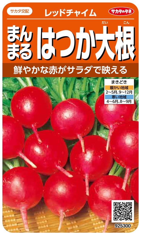 925300 サカタのタネ 実咲野菜5300 まんまるはつか大根 レッドチャイム 00925300