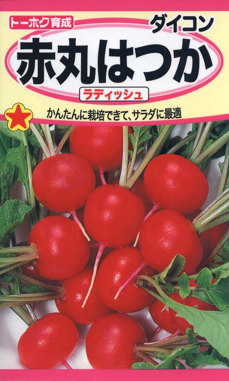 1151 株式会社トーホク 赤丸はつかラディッシュ 01151