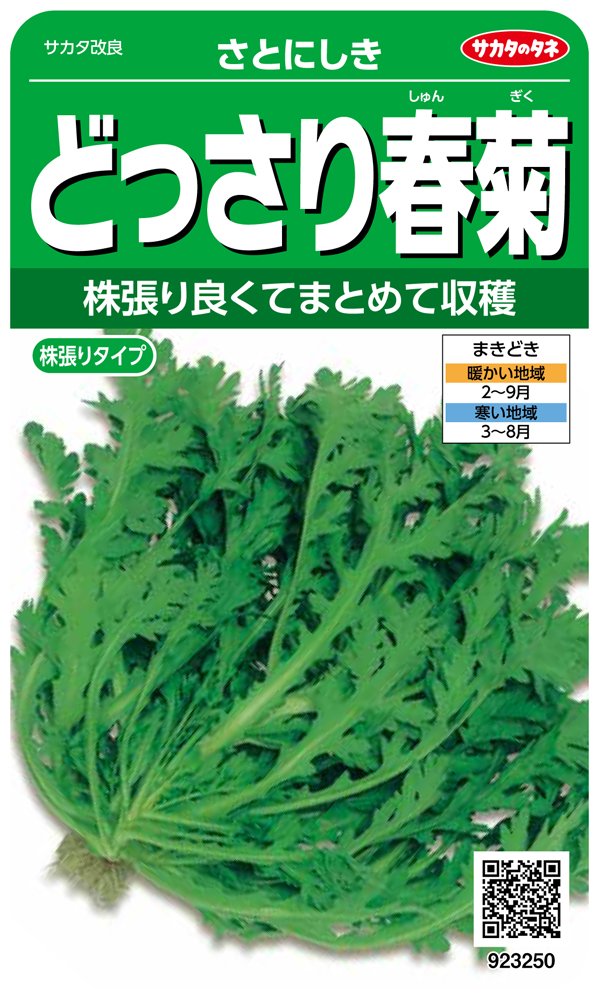 923250 サカタのタネ 実咲野菜3250 どっさり春菊 さとにしき 00923250