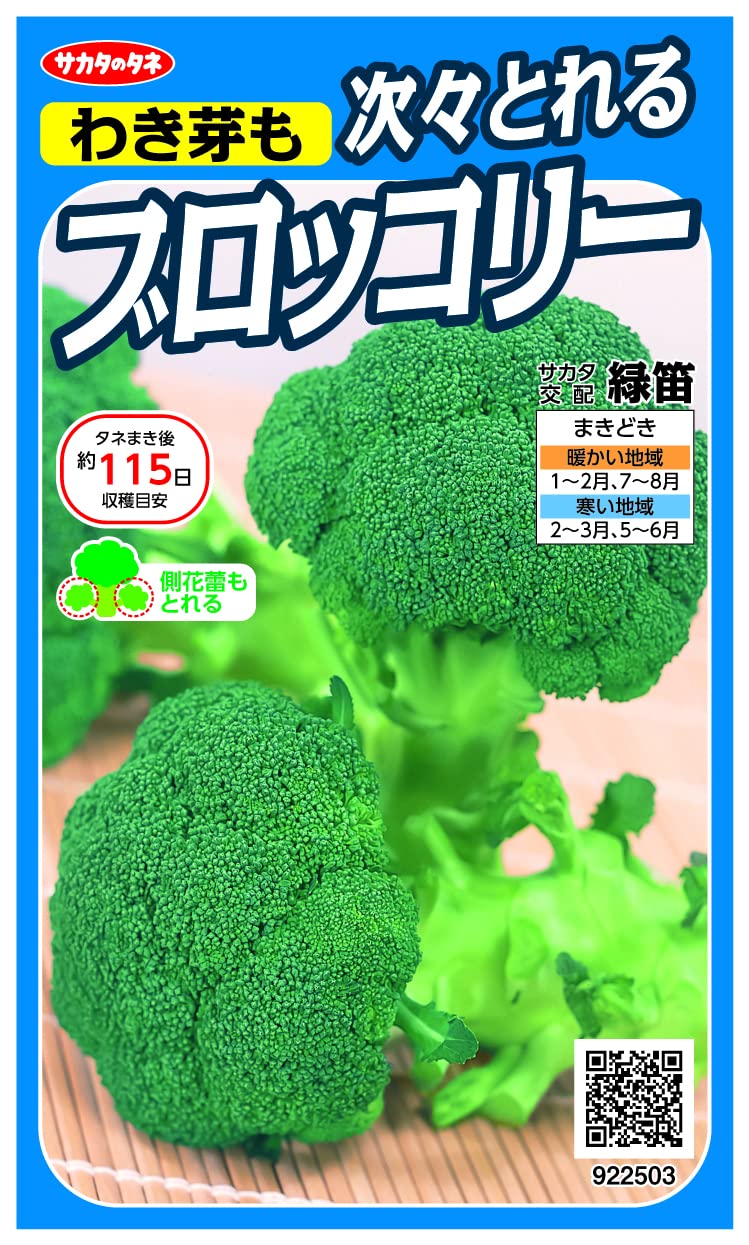 922503 実咲野菜 ブロッコリー わき芽も次々とれるブロッコリー 緑笛 小袋002929