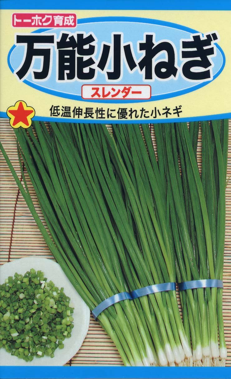 2214 株式会社トーホク 万能小ねぎ スレンダー 02214 緑