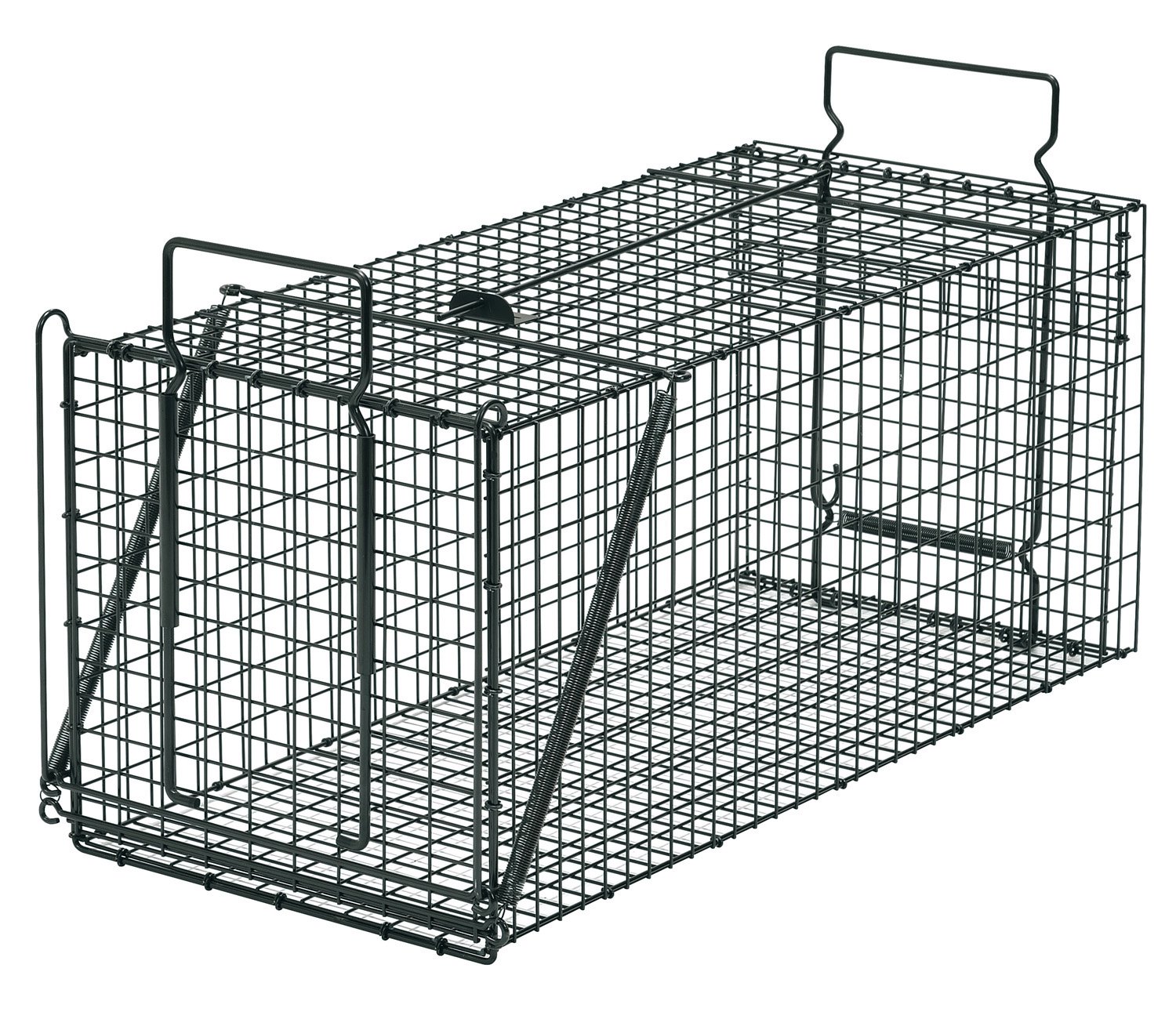 TN-3 栄工業 栄ヒルズ 捕獲器 D type No.303 TN-3 (ブラック) 対象動物タヌキ・ヌートリア