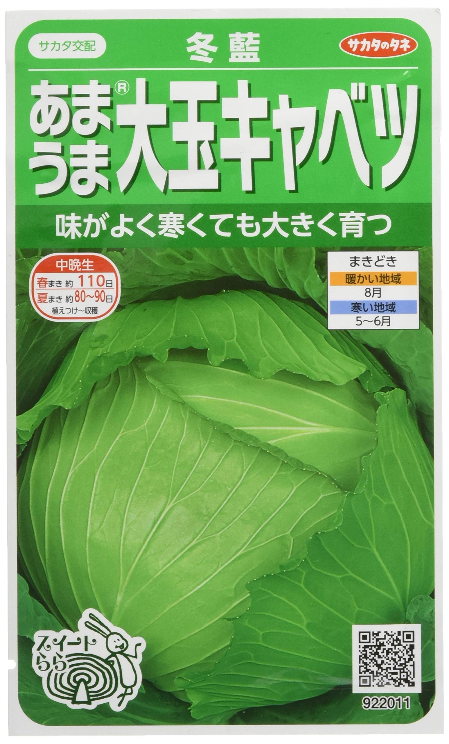 922011 サカタのタネ 実咲野菜2011 あまうま大玉キャベツ 冬藍 00922011